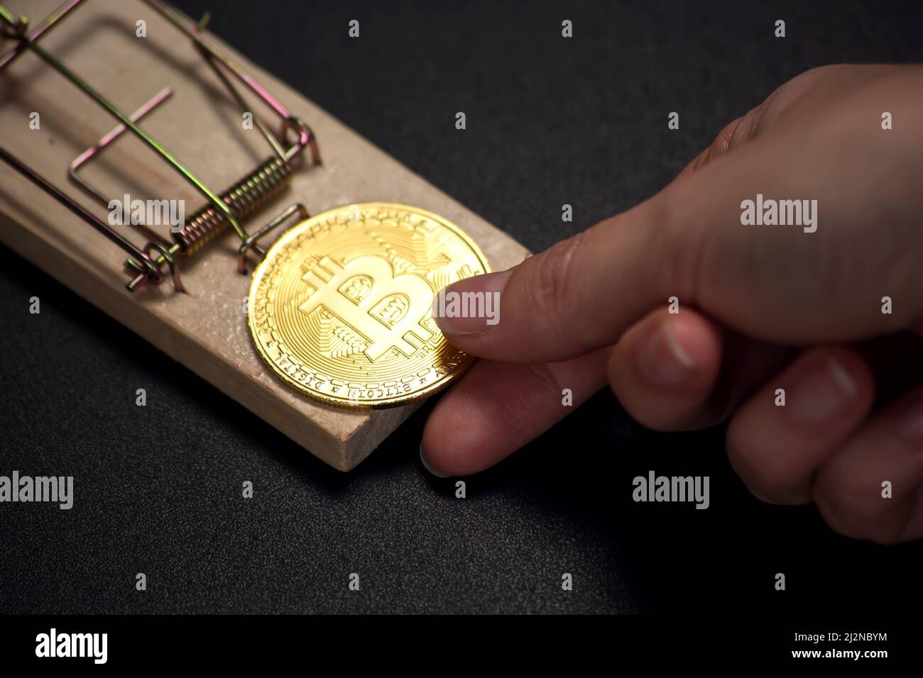 Moneda de Bitcoin en una mousetrap. Riesgos y peligros de invertir en criptomoneda Foto de stock
