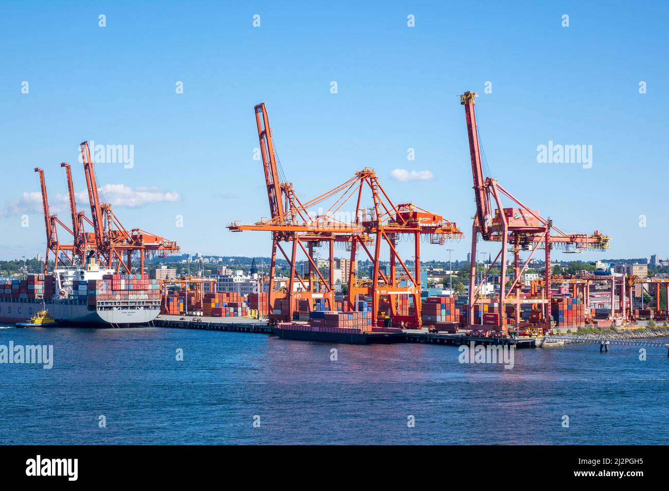 Grúas Gantry en el puerto de Vancouver Descarga de la carga de los  contenedores marítimos desde el Cosco Antwerp Container Ship Vancouver  Canadá Fotografía de stock - Alamy