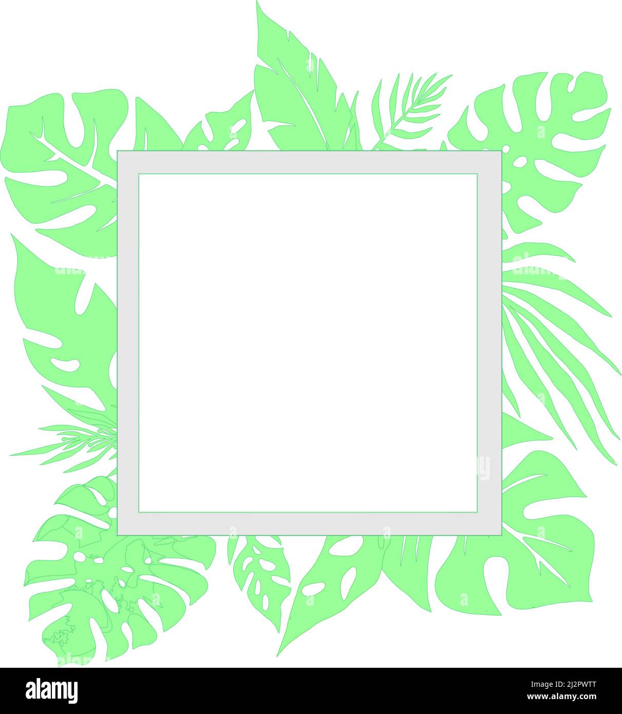 marco mentol hecho de hojas tropicales y rectángulo para escribir texto,  postal, portada Fotografía de stock - Alamy