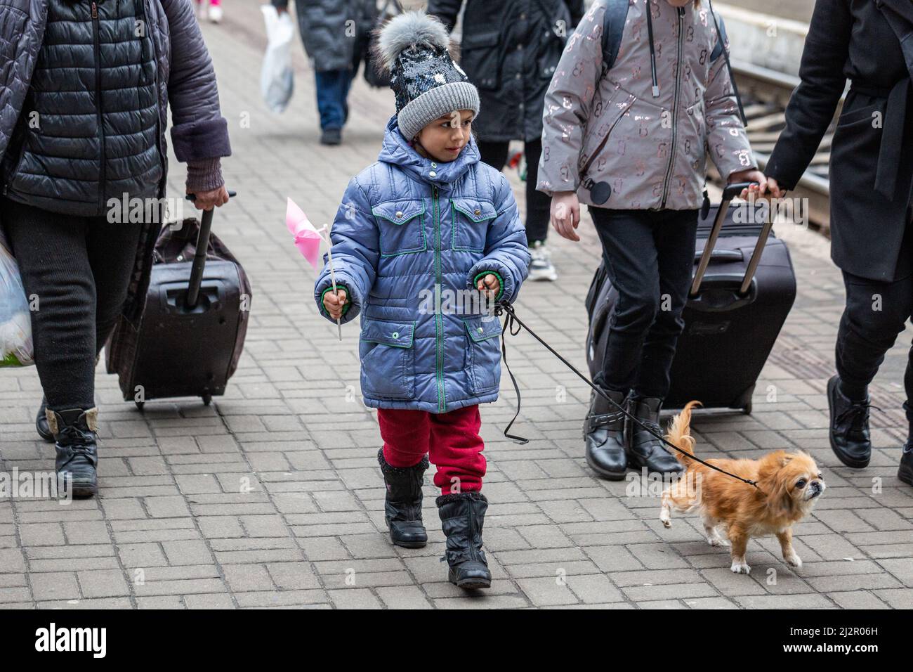 LVIV, UCRANIA - 02 DE ABRIL de 2022: Catástrofe humanitaria durante la guerra en Ucrania. Los refugiados con un perro pequeño de Mariupol son fugaces a Europa en este momento Foto de stock