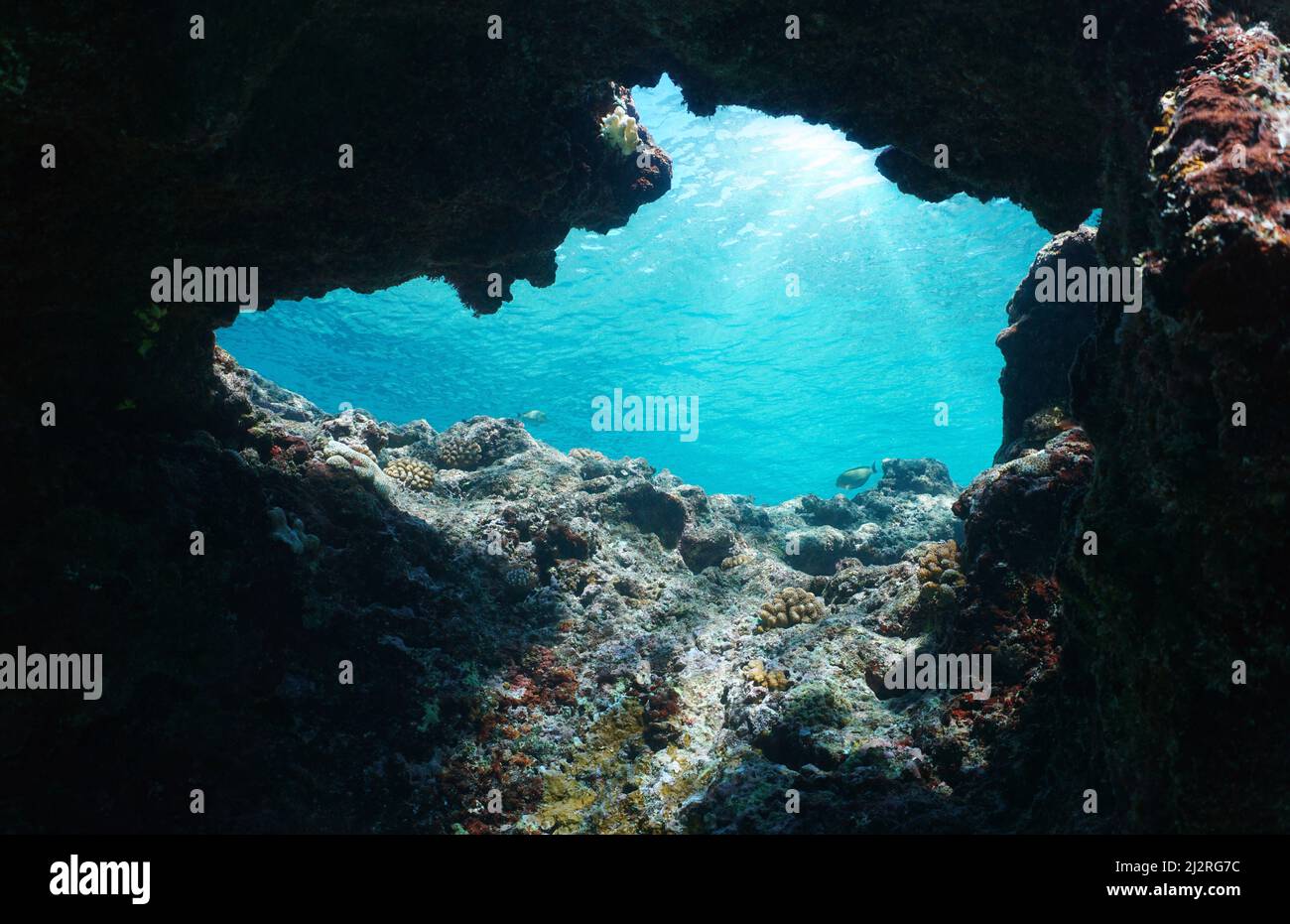 Salida submarina de la cueva en el océano con la luz del sol a través de la superficie del agua, Pacífico sur, Polinesia Foto de stock