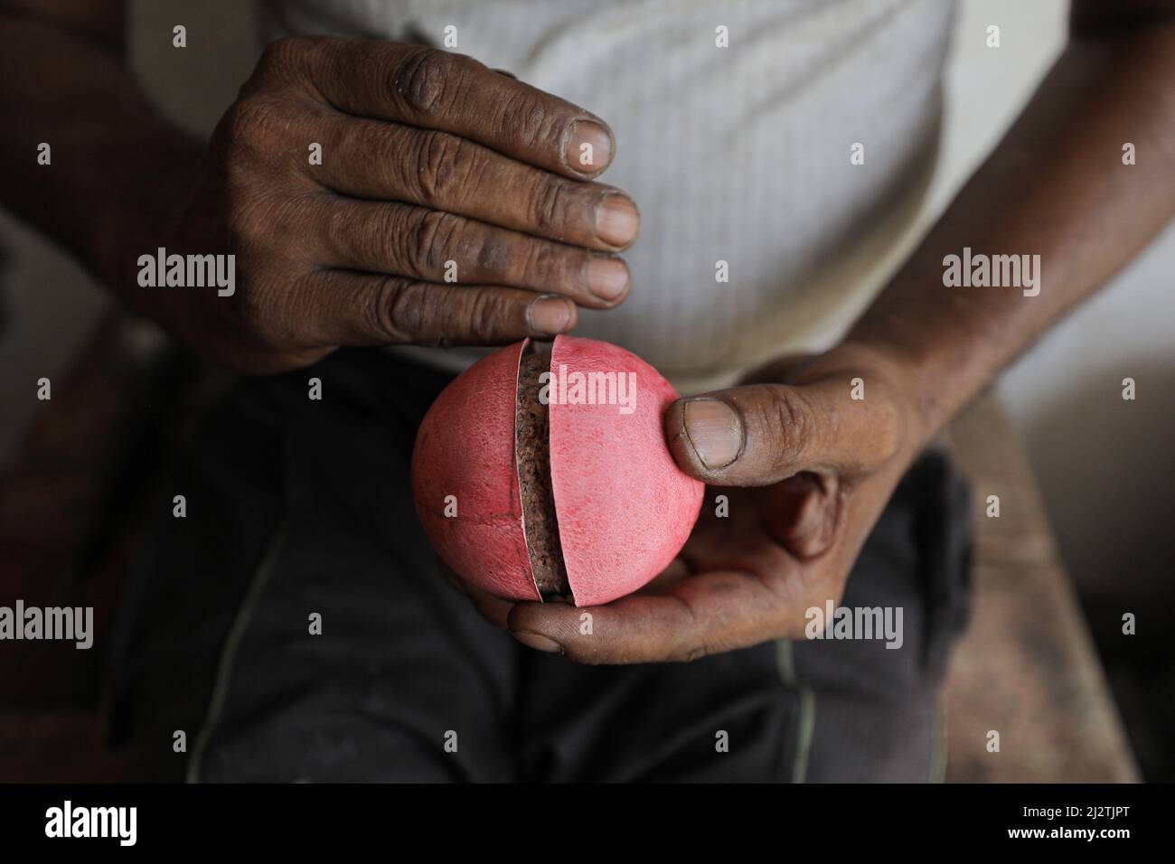 Meerut, India. 29th de junio de 2019. Un empleado mide las dos piezas de cuero juntas para formar una cubierta hemisférica para una bola de cricket en una fábrica. La Indian Premier League (IPL), la competición de cricket más rica del mundo, es una liga profesional de cricket masculina de Twenty20, disputada por diez equipos de diez ciudades indias. Se jugará un total de 70 partidos de liga y 4 partidos de Playoff durante 65 días. La temporada 15th se iniciará el 26th de marzo de 2022. (Foto de Ayush Chopra/SOPA Images/Sipa USA) Crédito: SIPA USA/Alamy Live News Foto de stock