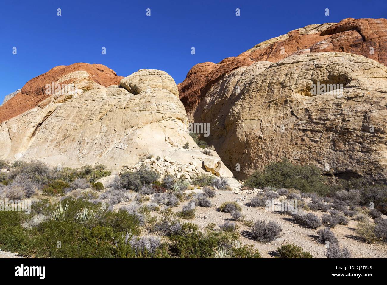 Famosa formación de rocas de Calico en varias capas. Paisaje escénico del desierto en el Área Nacional de Conservación del Cañón Red Rock, Nevada, Estados Unidos Foto de stock