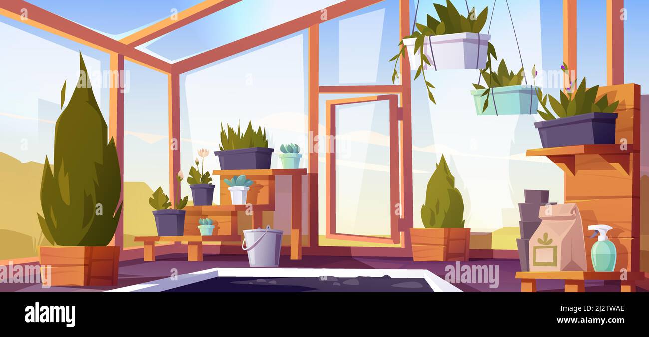 Interior de invernadero con plantas en macetas en estantes. Jardín de invierno vacío, invernadero con paredes de vidrio, ventanas, techo y suelo de piedra, lugar para el crecimiento fl Ilustración del Vector
