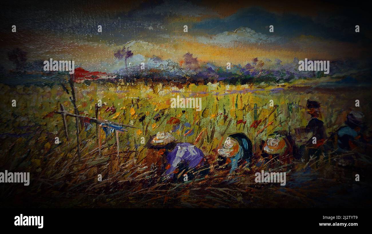Pintura de arte Color de aceite cosecha arroz , campo en las provincias de Tailandia sobre lienzo Foto de stock