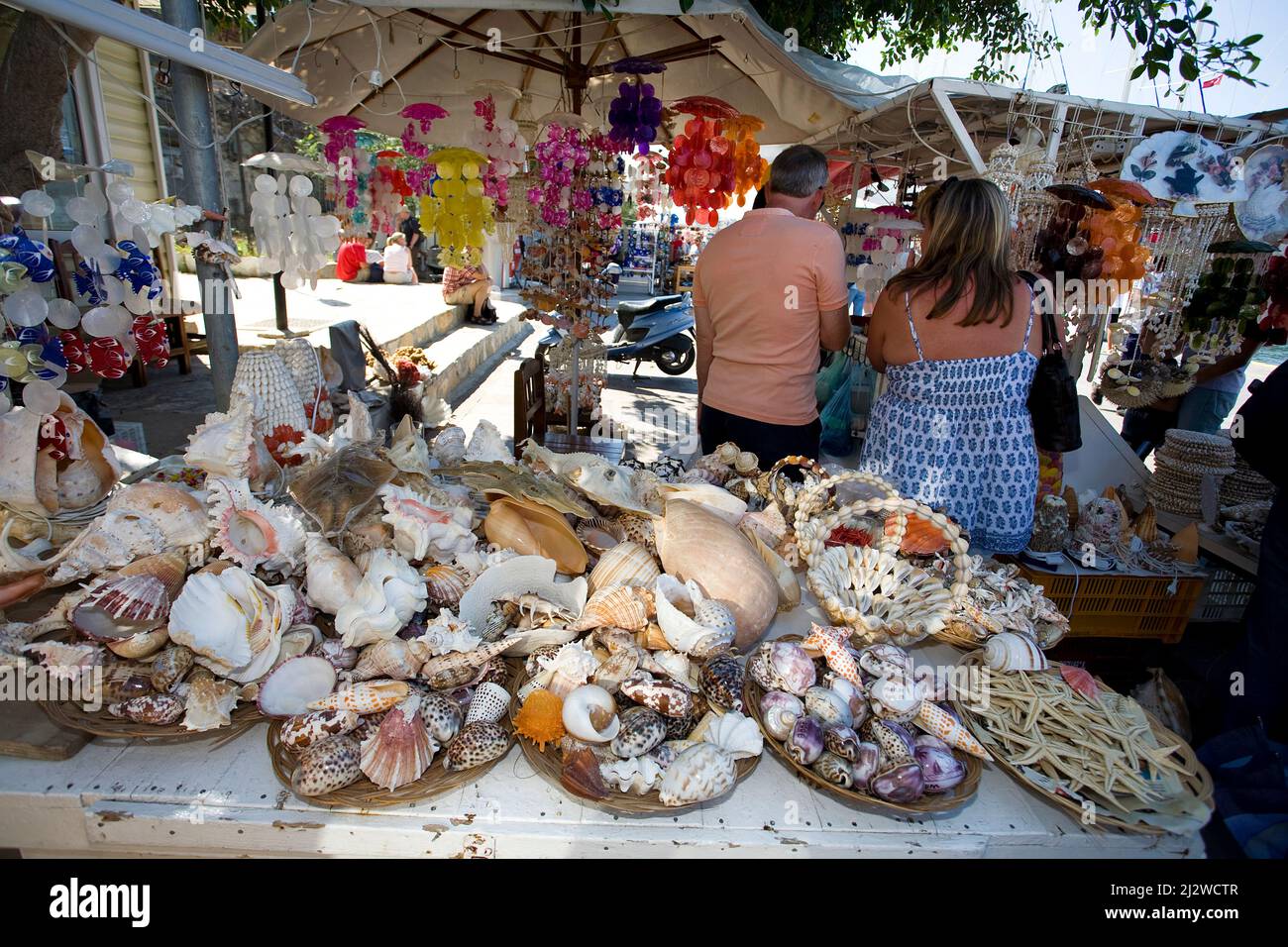 Tienda vende animales marinos muertos y conchas como souvenirs, Bodrum, Aegaeis, Turquía, Mar Mediterráneo Foto de stock