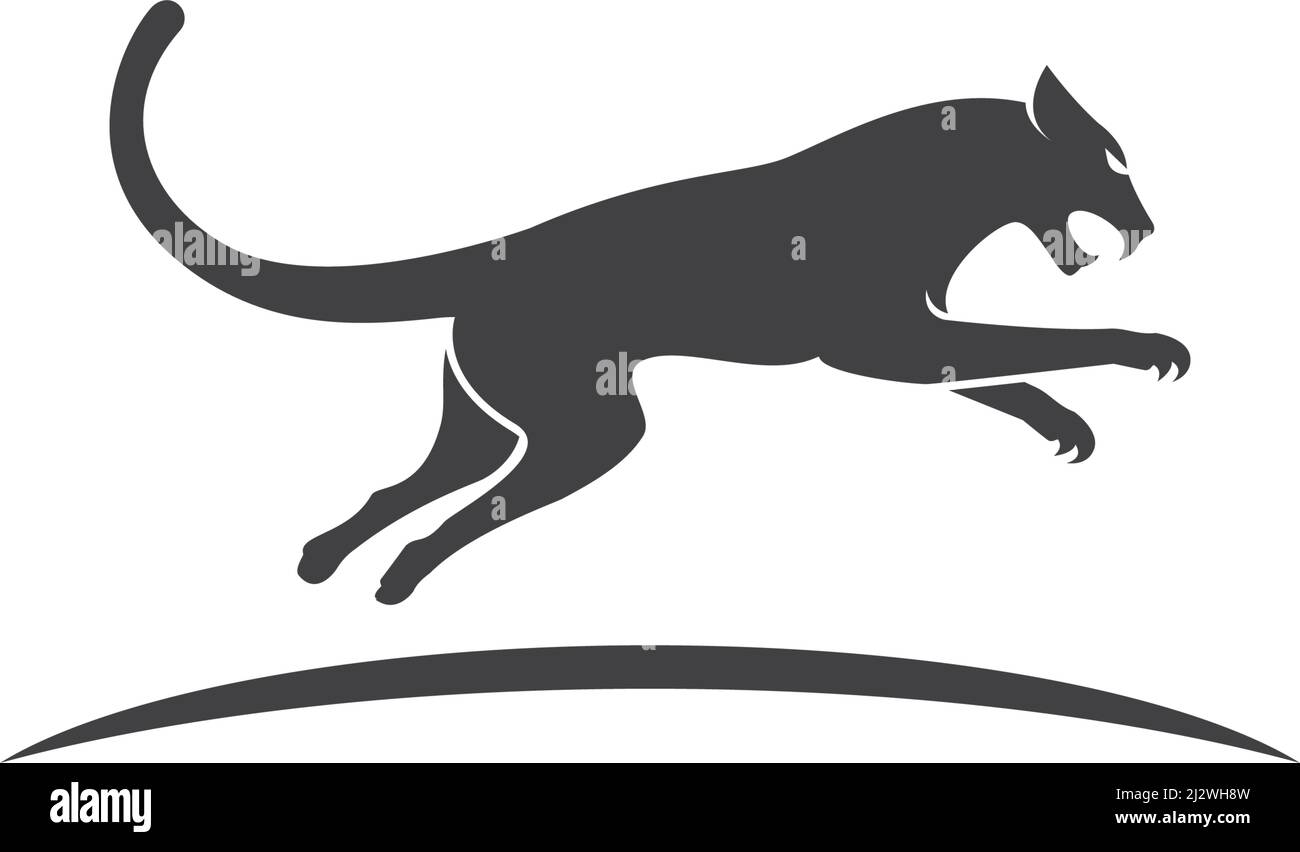 Puma,panther,tiger o leopardo Diseño de logotipo de ilustración vectorial  Imagen Vector de stock - Alamy