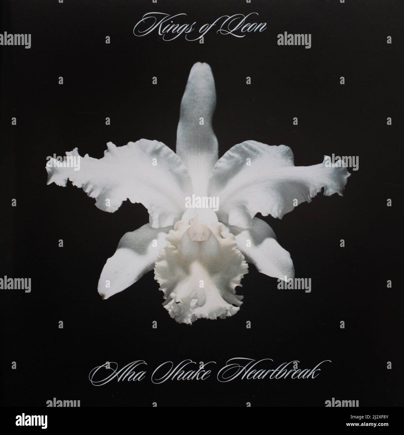 La portada del álbum de CD de Aha Shake Heartbreak de Kings of Leon Fotografía de stock - Alamy