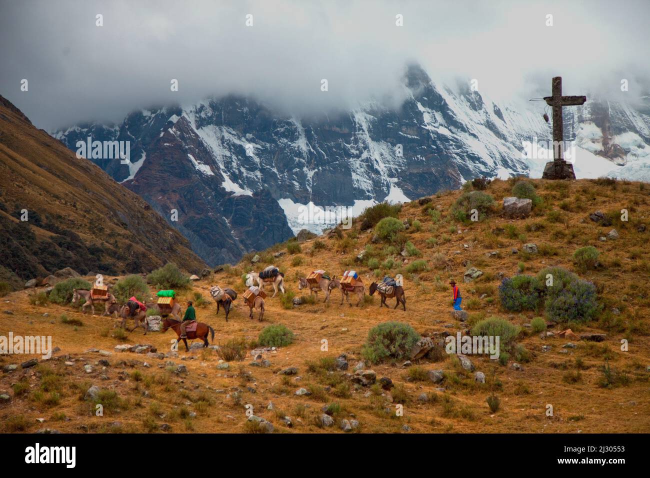 Tren de carga de burro, trekking en la Cordillera Huayhuash, Perú Foto de stock