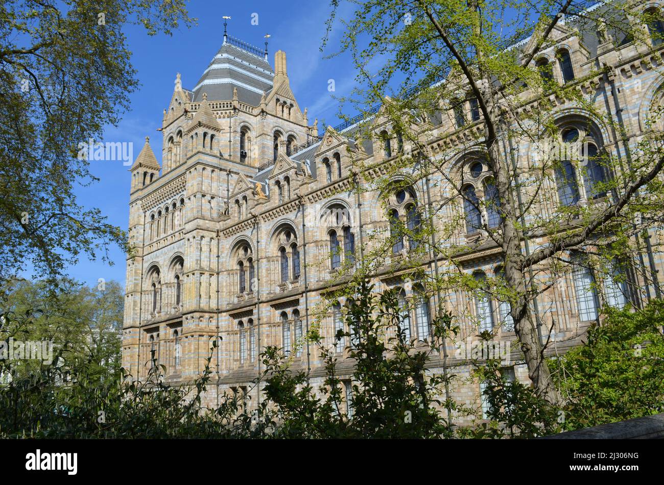 Museo de Historia Natural de Londres Foto de stock