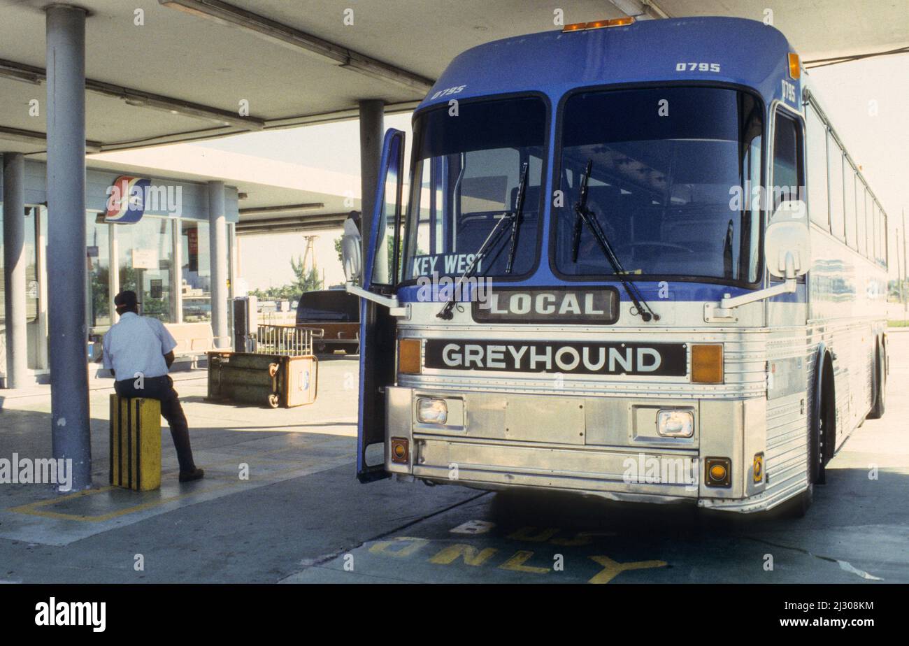 Ein amerikanischer Klassiker: Autobús Greyhound am Busbahnhof von Miami. - Un clásico americano: Autobús Greyhound esperando en la terminal de autobuses de Miami. Foto de stock
