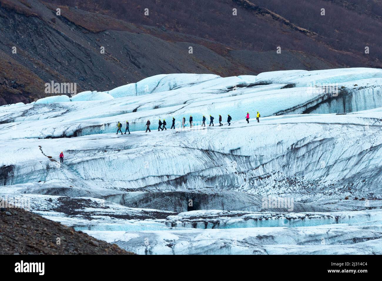 Caminata por el glaciar Svinafellsjokull, lengua glaciar de Öraefajokull en la cordillera Vatnajokull, Islandia, Europa Foto de stock