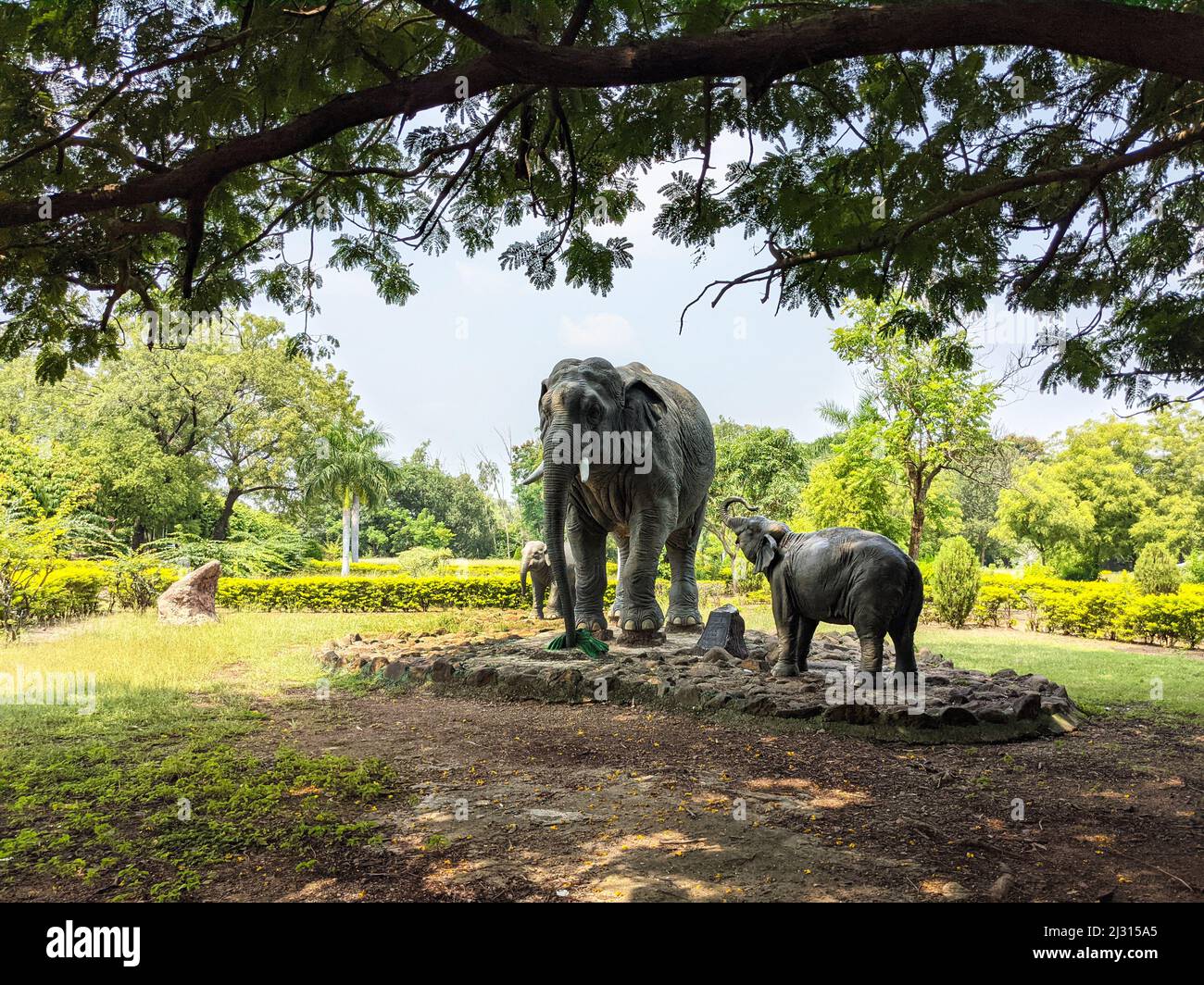 Hermosa vista larga de las esculturas de cemento de la familia Elefantes en el jardín de la Universidad de Gulbarga: Kalaburagi, Karnataka, India-Octubre 14,2021 Foto de stock