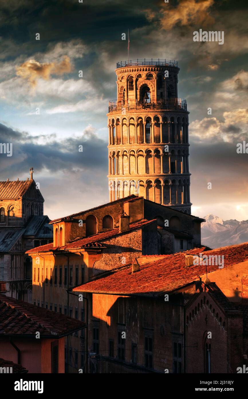 Der schiefe Turm von Pisa im Abendlicht Foto de stock