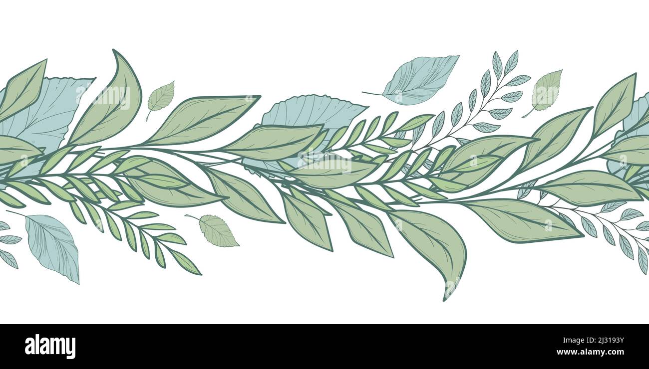 Botánica mano dibujada verde sin costuras borde hecho de hojas y hierba, marco verde. Ornamento de ramas y plantas, elementos para una boda, primavera Ilustración del Vector