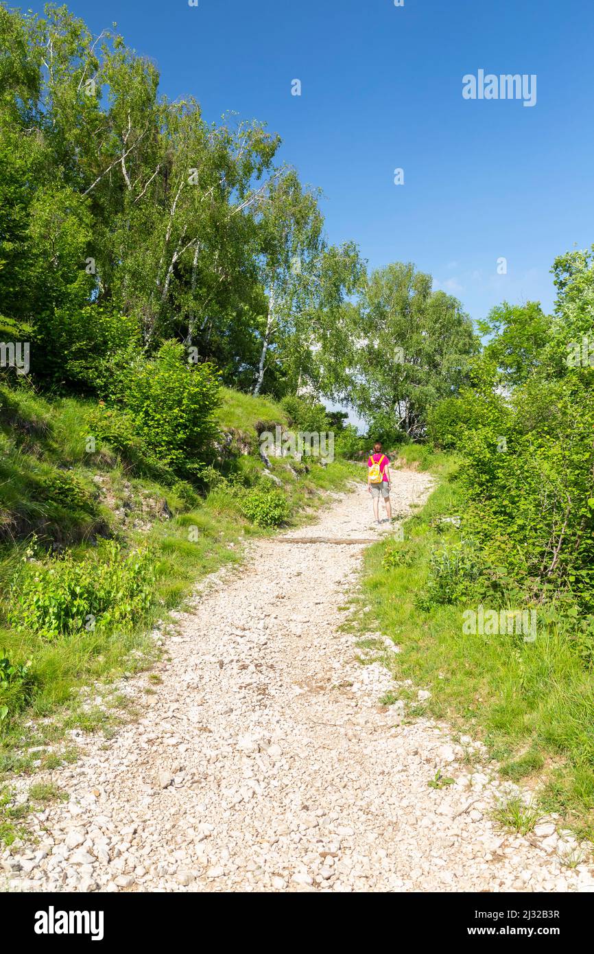 Vista de la ruta que conduce a Monte Chiusarella, Varesine prealps, Parco Regionale del Campo dei Fiori, Varese distrito, Lombardía, Italia. Foto de stock