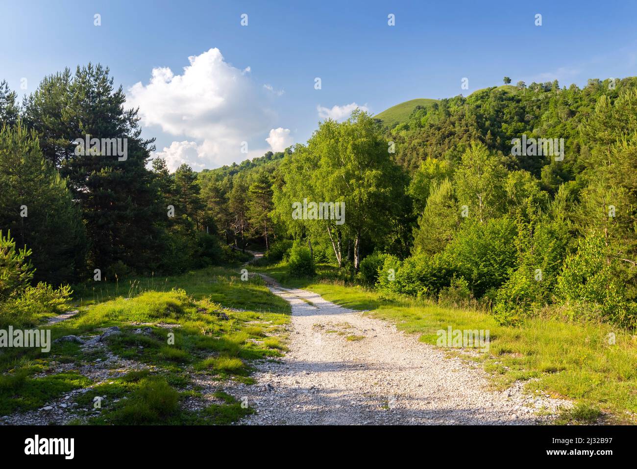 Vista de la ruta que conduce a Monte Chiusarella, Varesine prealps, Parco Regionale del Campo dei Fiori, Varese distrito, Lombardía, Italia. Foto de stock