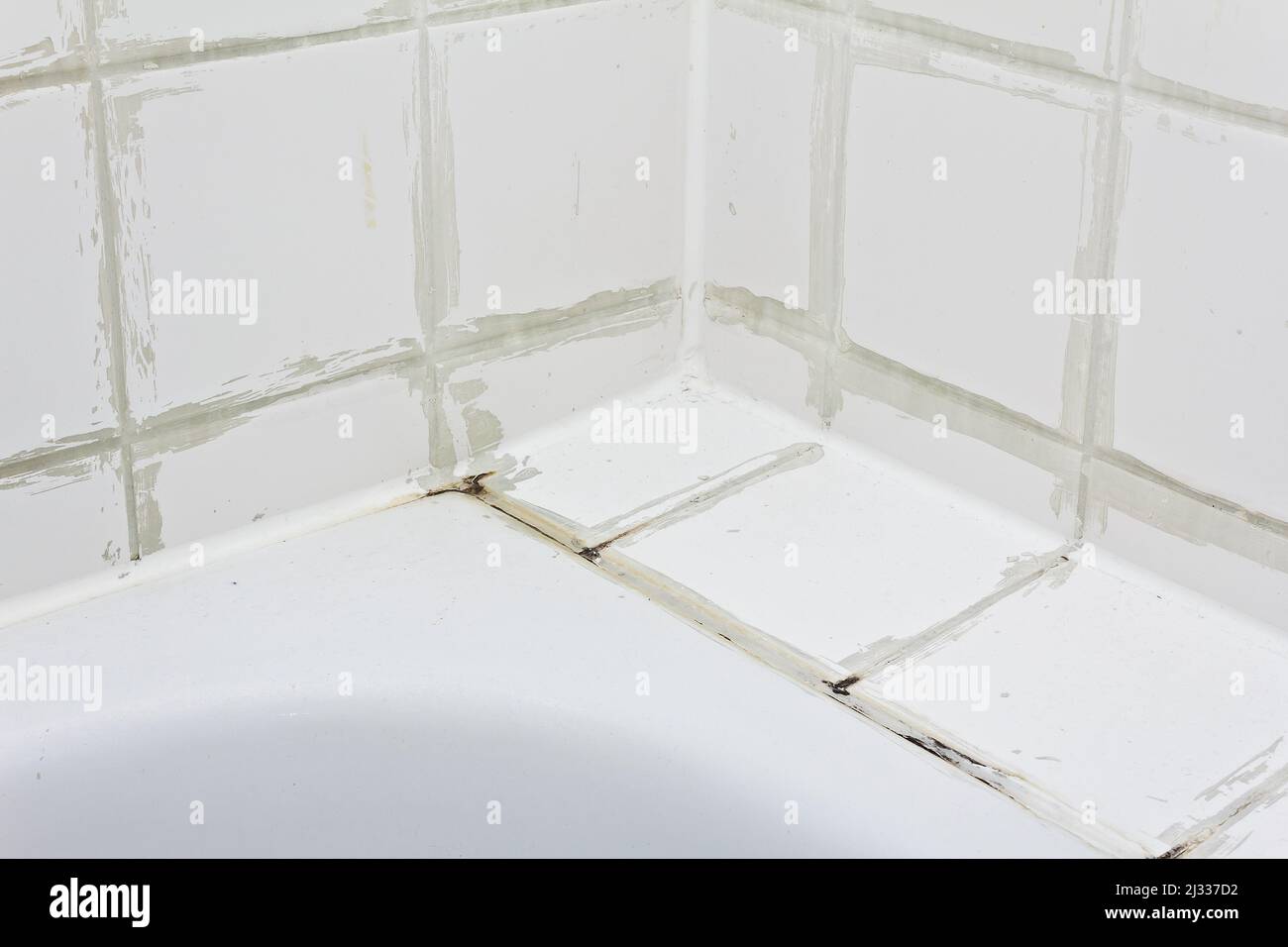 Concepto de daños en el alquiler: Azulejos sucios por encima de la bañera con moho negro creciendo en calcificaciones en la lechada de azulejos en un cuarto de baño viejo y descuidado. Foto de stock