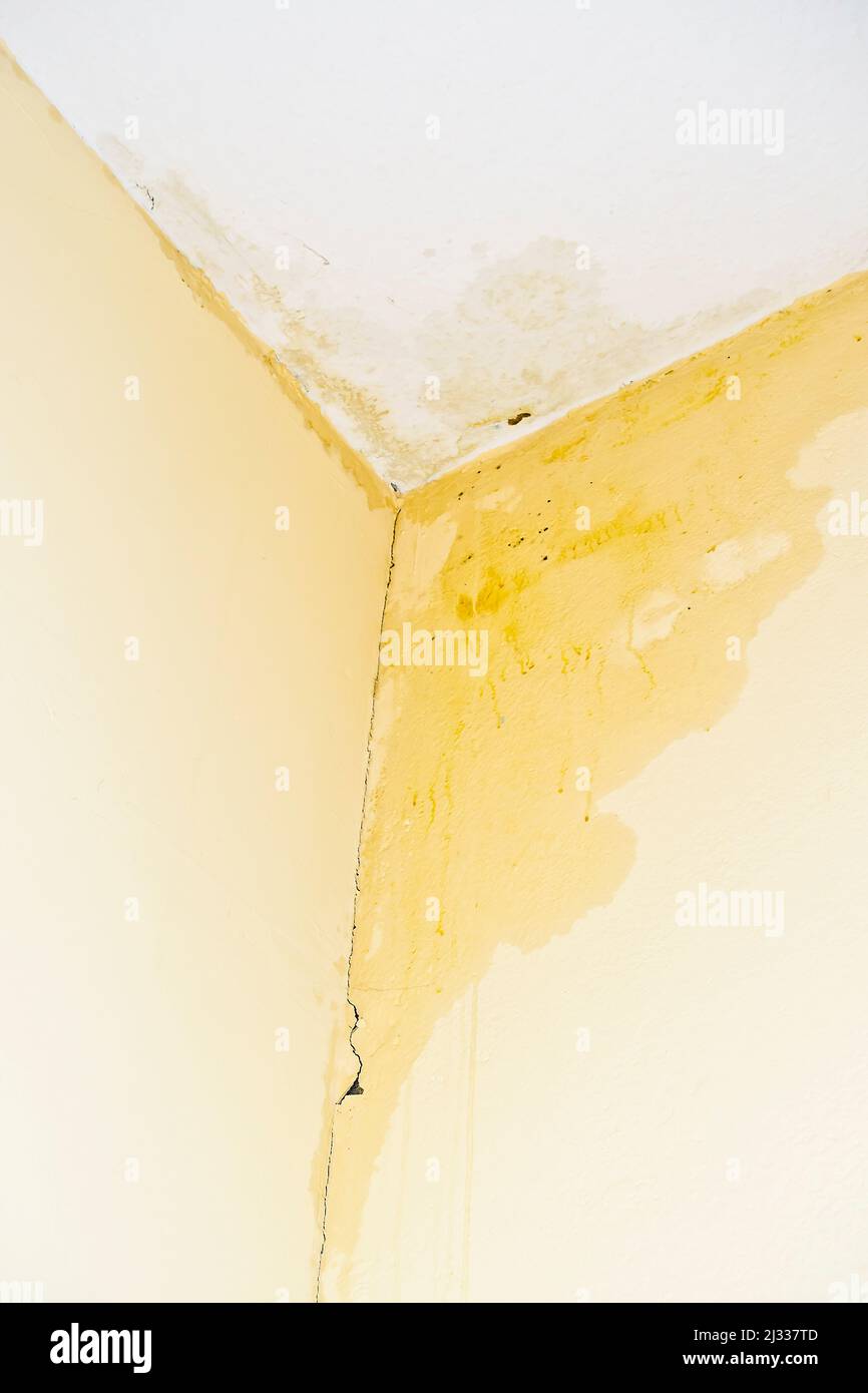 Concepto de daños en el edificio: Gran mancha de agua en la esquina de una habitación amarilla, causada por una tubería que gotea, un techo que gotea o grietas en la pared. Foto de stock