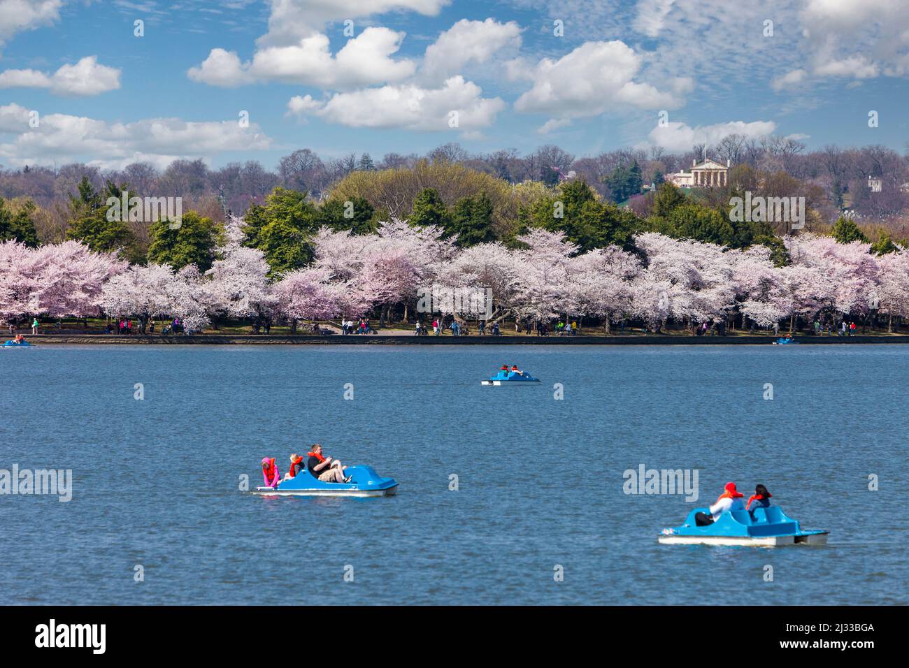Washington, D.C., los cerezos en flor. Paddle-Boating sobre la Tidal Basin. Mansión Custis-Lee en Hilltop en segundo plano. Foto de stock