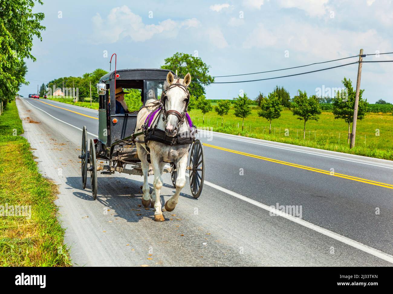 Caballo tirando de un carro fotografías e imágenes de alta resolución
