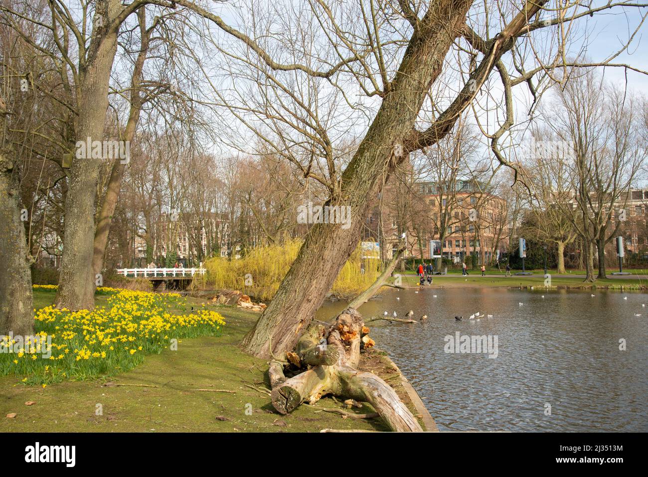 Gente en Oosterpark en Amsterdam, Holanda Foto de stock
