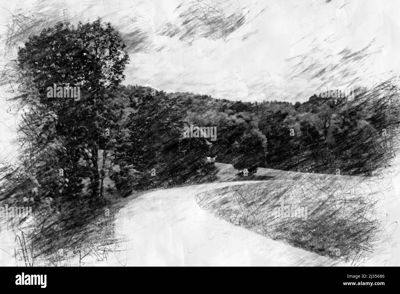 vista panorámica de la carretera y el bosque en forma de dibujo a lápiz  Fotografía de stock - Alamy