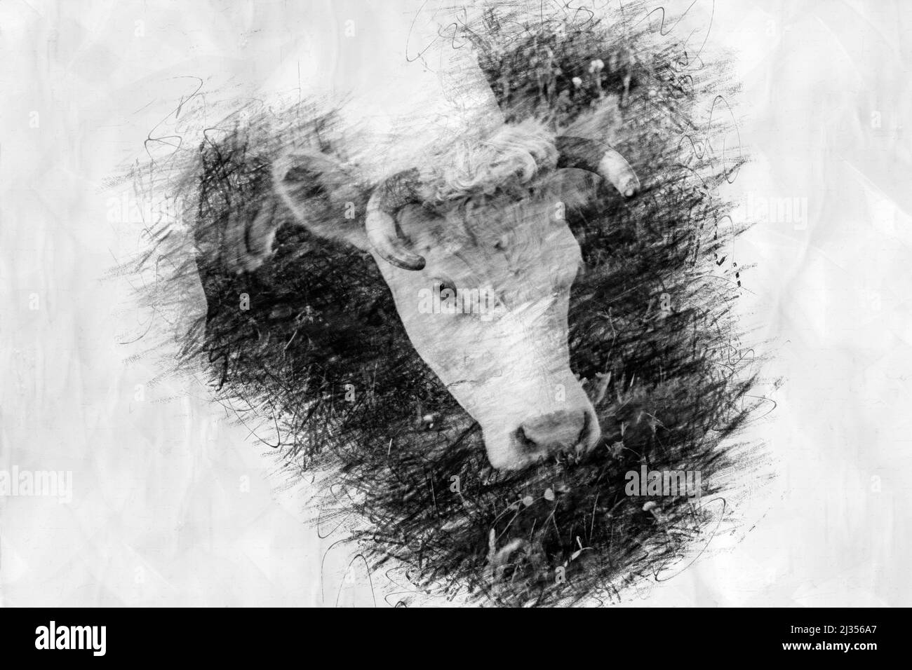 vaca blanca comiendo hierba en un estilo de dibujo a lápiz Fotografía de  stock - Alamy