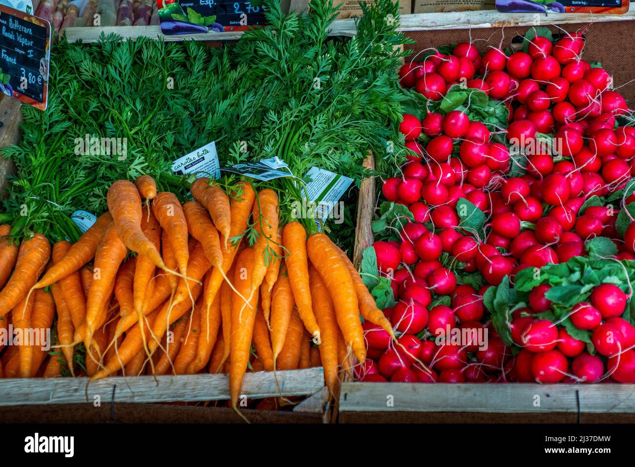 France-Nouvelle Aquitaine-Dordogne- verduras frescas en el mercado semanal al aire libre en La Coquille. Foto de stock