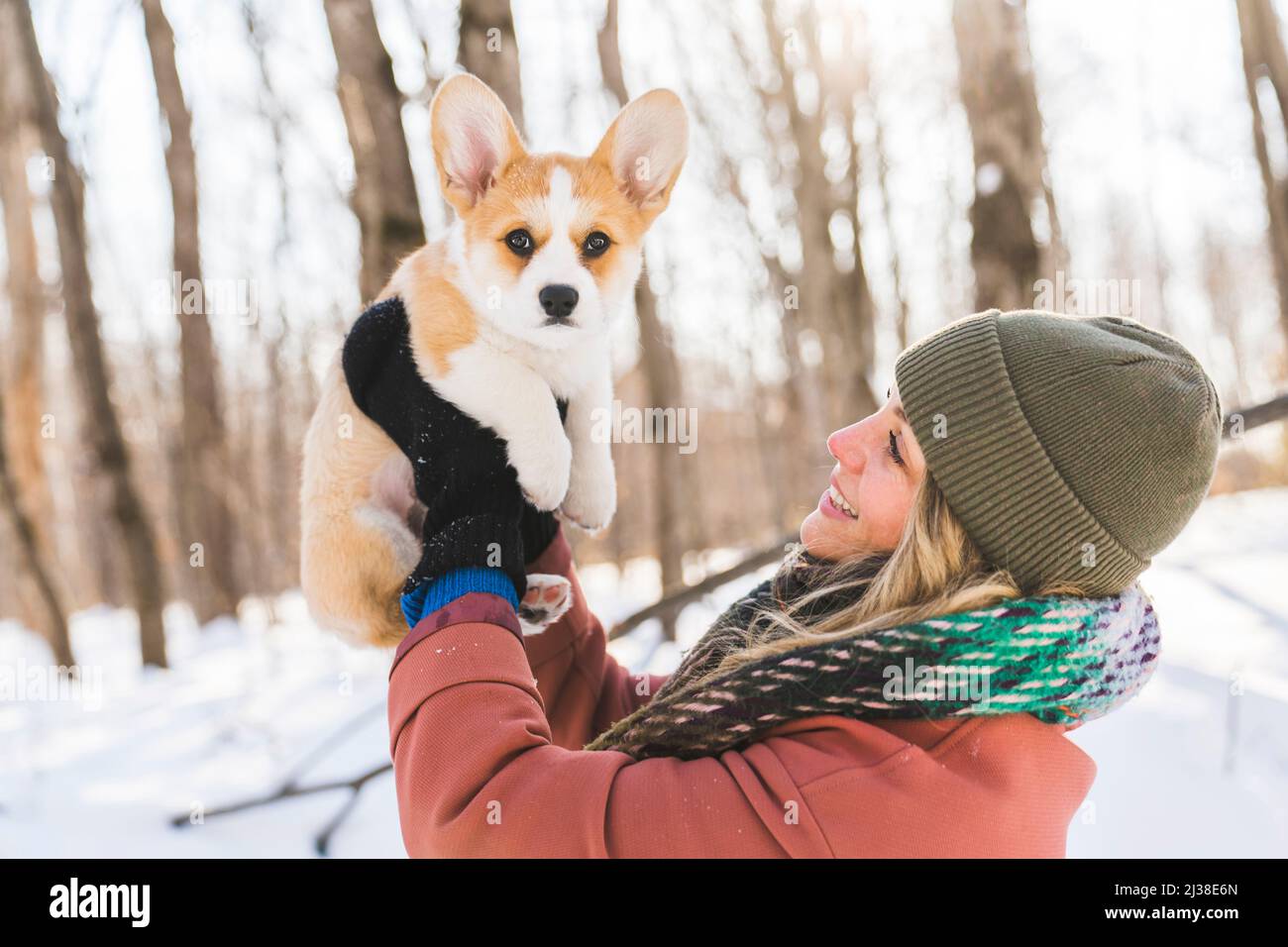 Joven mujer feliz divertirse en el parque nevado de invierno con el perro  Corgi bebé Fotografía de stock - Alamy