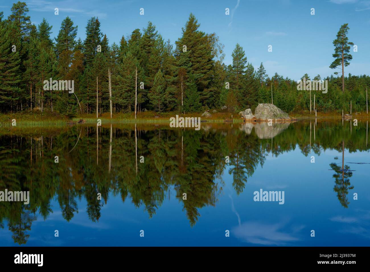 Cielo azul que refleja los árboles en el lago Foto de stock