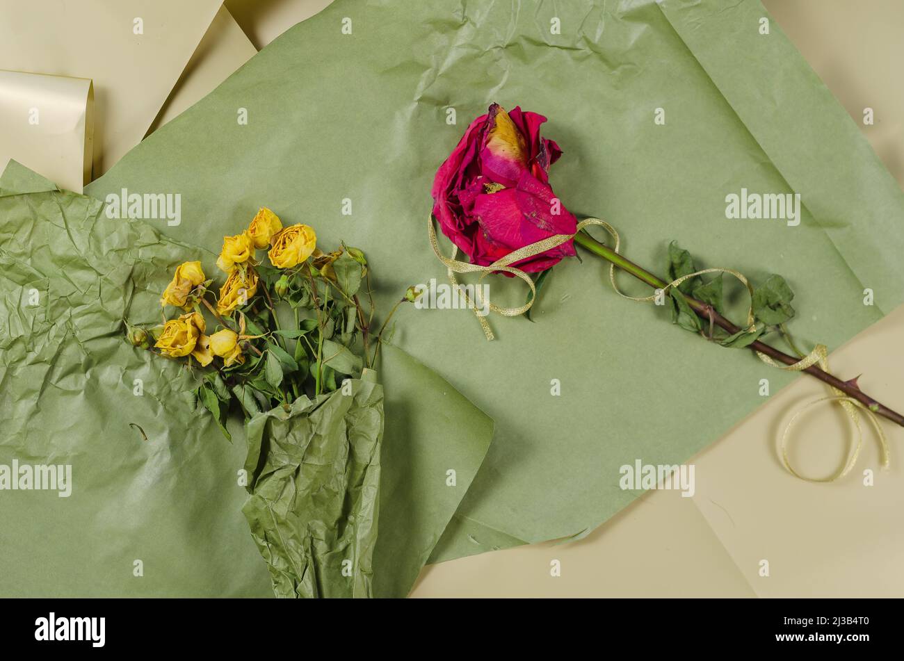 Rosas marchitas fotografías e imágenes de alta resolución - Página 18 -  Alamy
