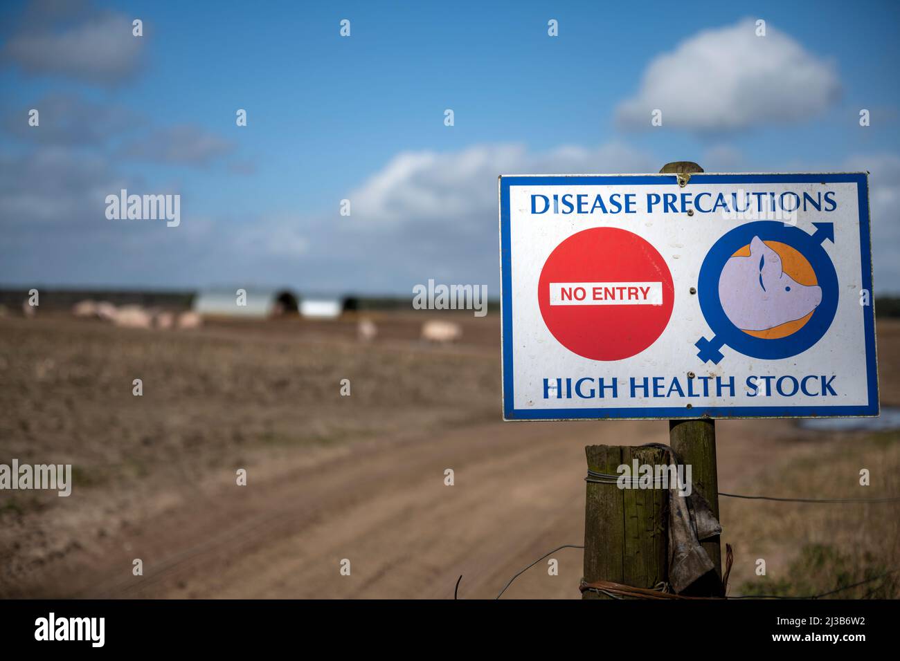 No hay señales de entrada de precauciones de enfermedades en una granja de cerdos Sutton Heath Suffolk Reino Unido Foto de stock