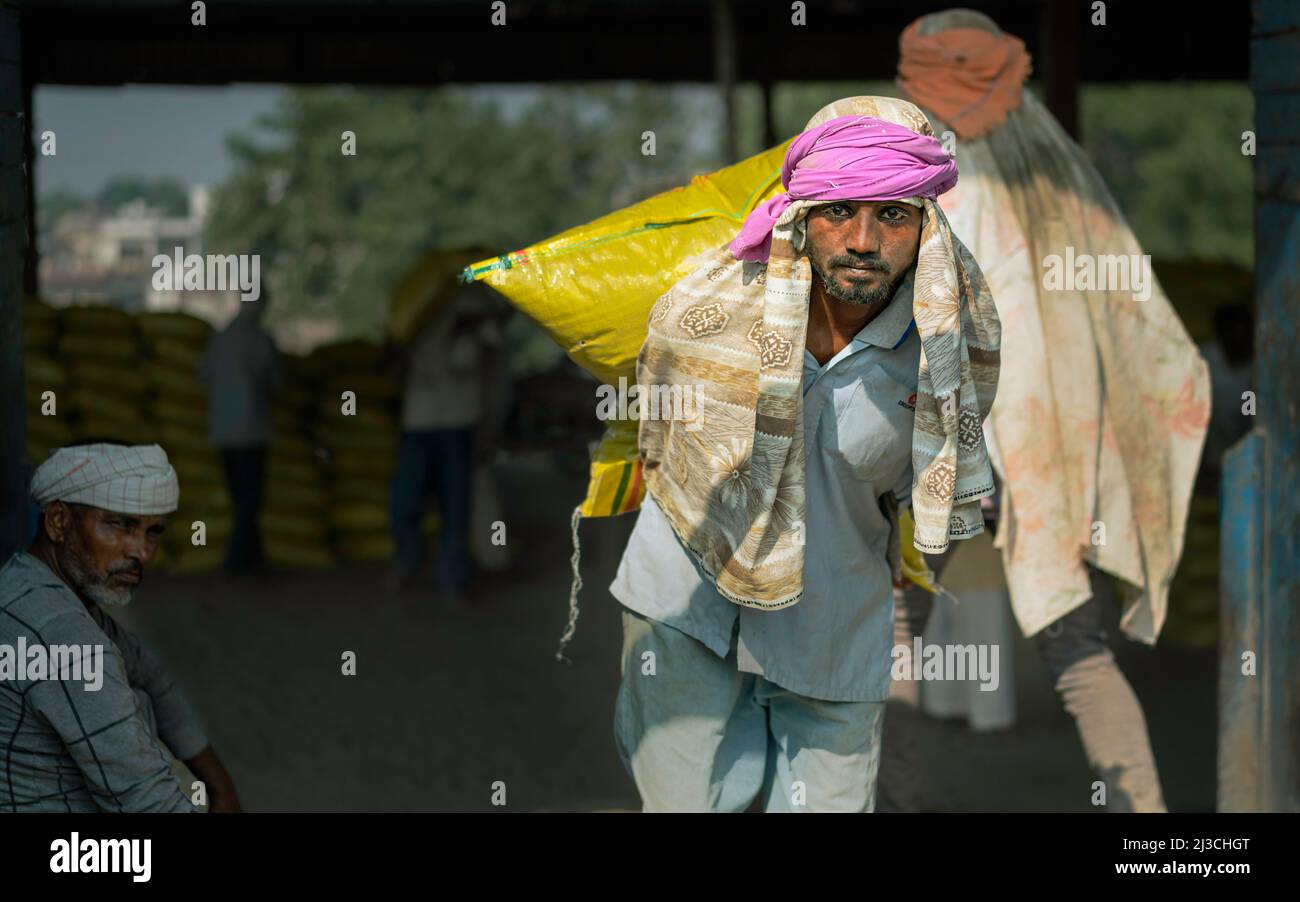 El trabajador manual lleva una bolsa pesada de cemento desde el almacenamiento hasta el punto de transporte en condiciones peligrosas en Mathura, India. Foto de stock