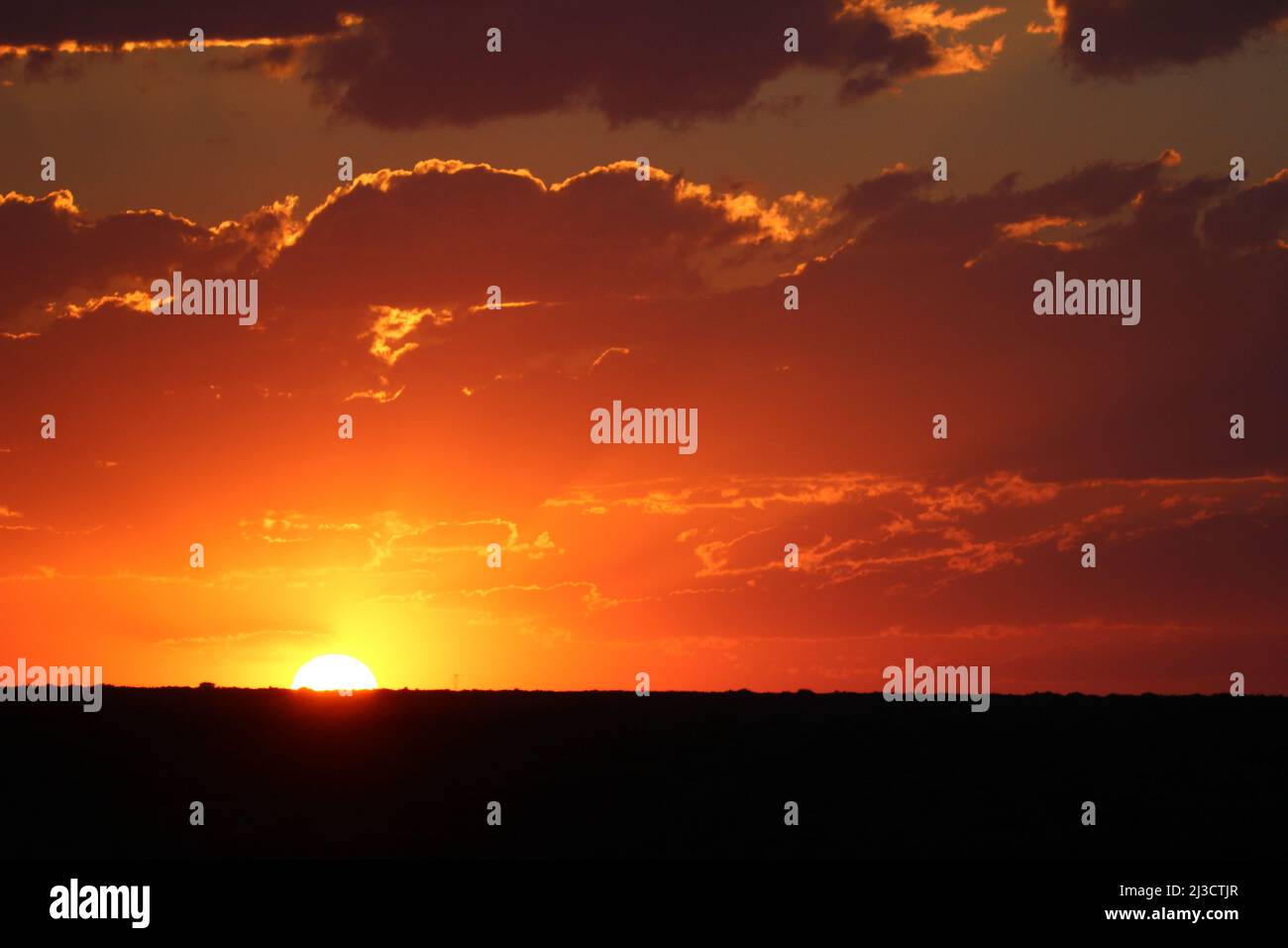 Puesta de sol africana, Parque Nacional de Elefantes Addo Foto de stock