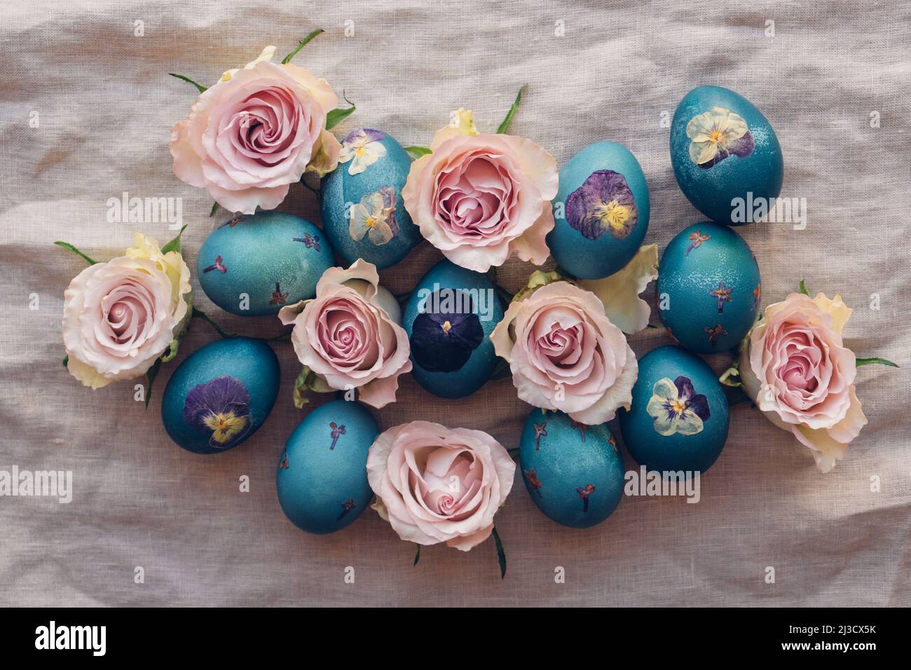 Naturalmente teñido azul cian prensado flor Huevos de Pascua sobre fondo  beige neutro mantel con flores de rosas en flor, vista superior. Artesanía  Natura Fotografía de stock - Alamy