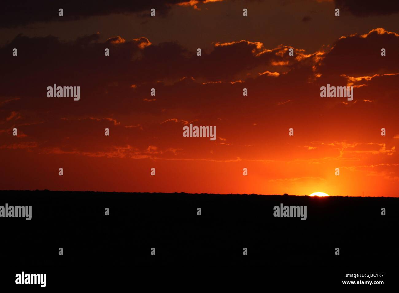 Puesta de sol africana, Parque Nacional de Elefantes Addo Foto de stock