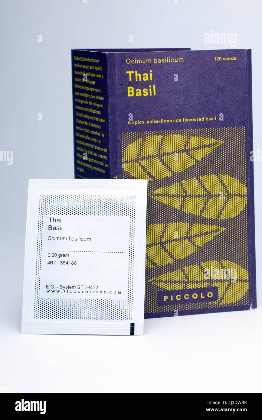 Paquete de 120 semillas de Piccolo Thai Basil Seeds Foto de stock