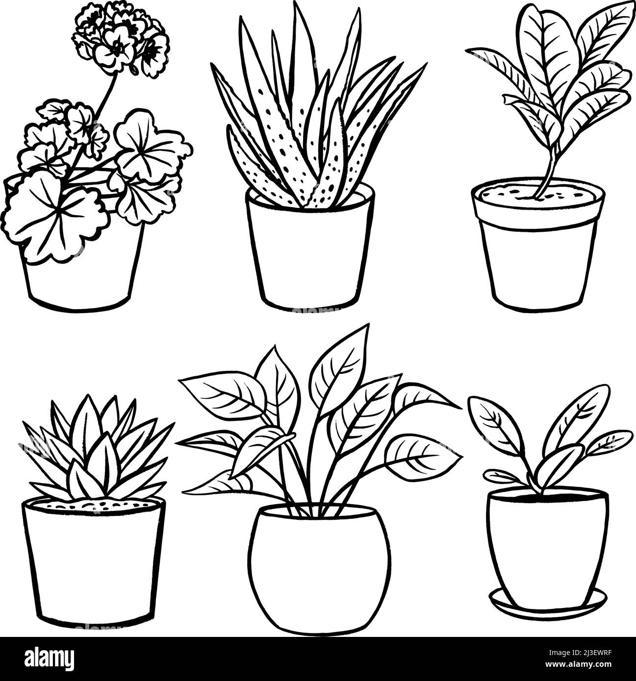 Plantas de la casa en macetas. Ilustración vectorial Ilustración del Vector