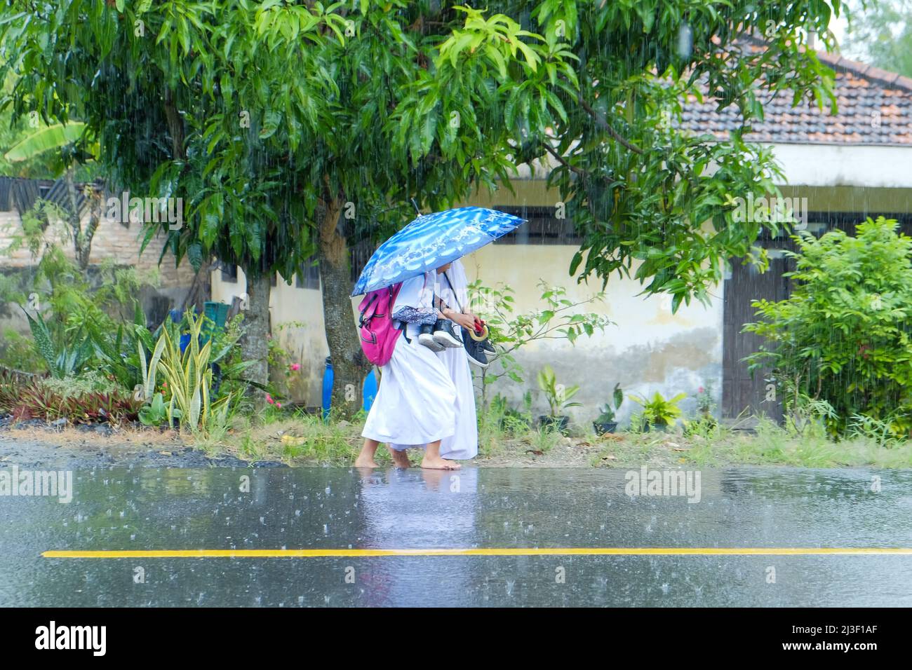 Los niños usan paraguas bajo la lluvia caminando en el borde del tráfico. Esta foto contiene ruido y grano. Foto de stock