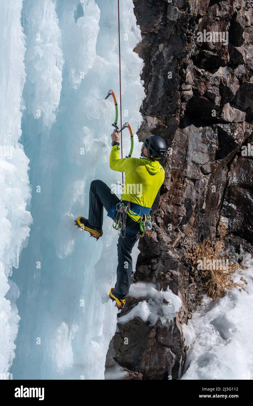 Un escalador de hielo escala una pared de hielo de 100' de altura con hachas de hielo y crampones en sus botas en el Ouray Ice Park, Colorado. Foto de stock