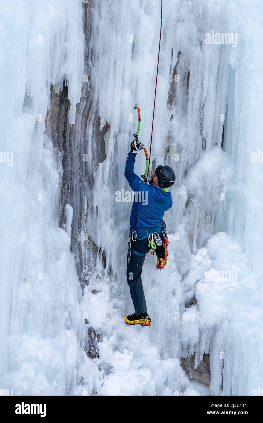 Un escalador de hielo escala una pared de hielo de 100' de altura con hachas de hielo y crampones en sus botas en el Ouray Ice Park, Colorado. Foto de stock