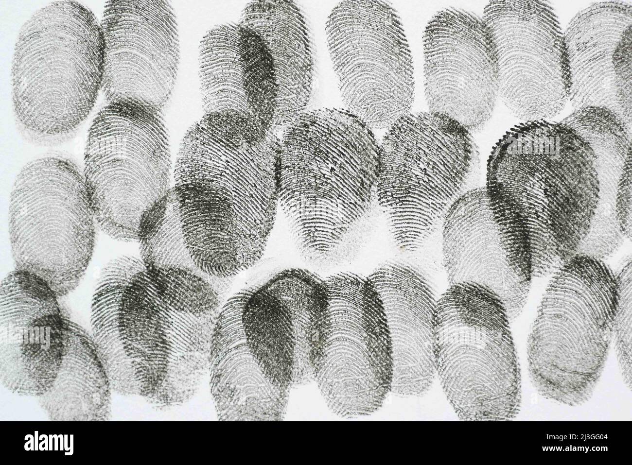 diferentes huellas dactilares negras en un papel de primer plano Fotografía  de stock - Alamy