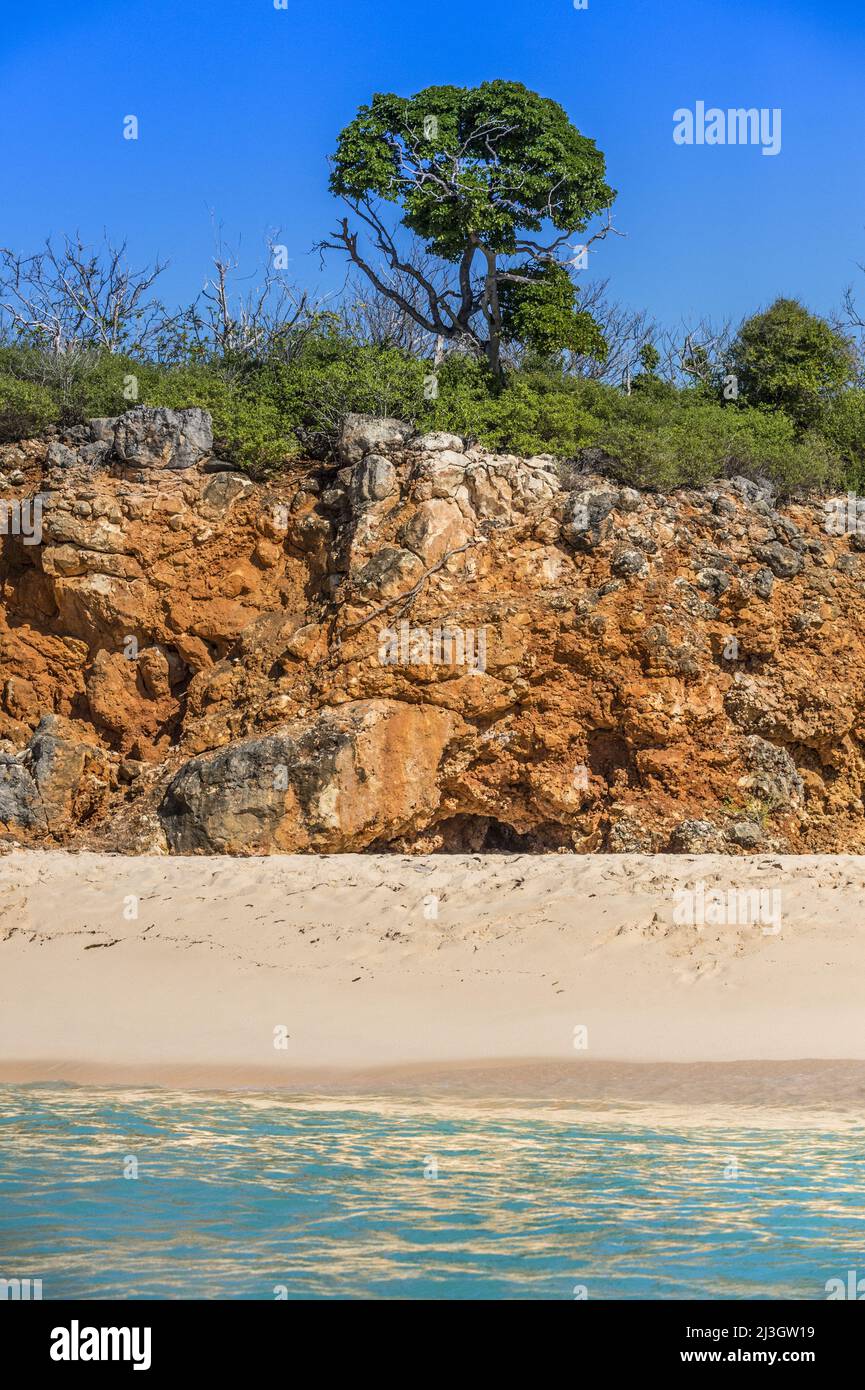 América, Caribe, Antillas Menores, Antillas Francesas, Saint-Martin, Reserva Natural Nacional, Isla Tintamarre, vegetación de acantilados en la costa de Baie Blanche Foto de stock