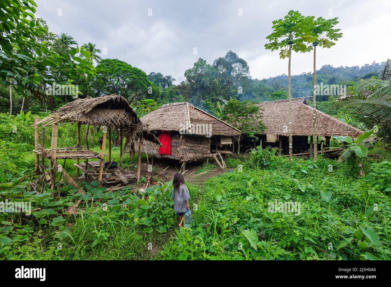 Filipinas, Palawan, Rizal, Valle de Singnapan, caminata para conocer al
