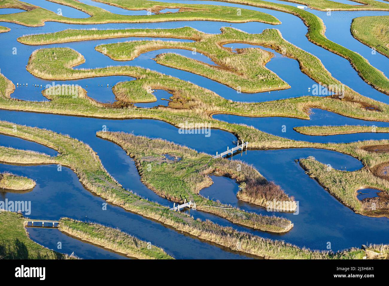 Francia, Vendée, Talmont Saint Hilaire, los pantanos de Guittiere (vista aérea) Foto de stock