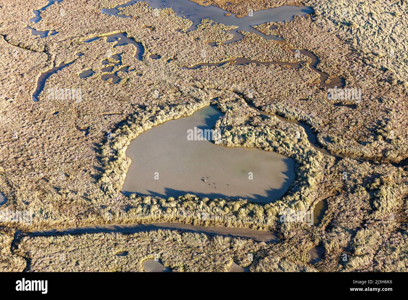 Francia, Vendée, Talmont Saint Hilaire, lugar de caza de aves acuáticas en los pantanos de Guittiere (vista aérea) Foto de stock