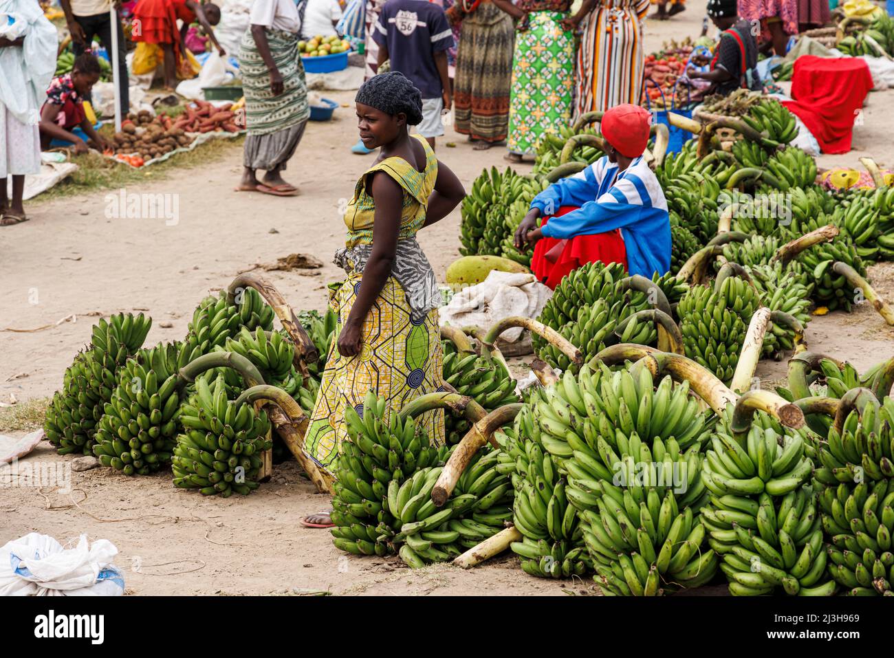 Uganda, distrito de Kasese, Katwe, mercado de Katwe, mujeres que venden matooke (plátano) Foto de stock