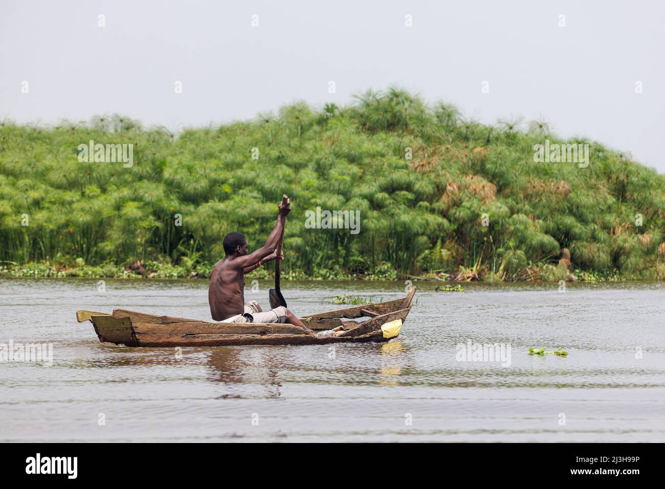 Uganda, distrito de Wakiso, pantano de Mabamba, hombre en canoa antes del monte papiro Foto de stock