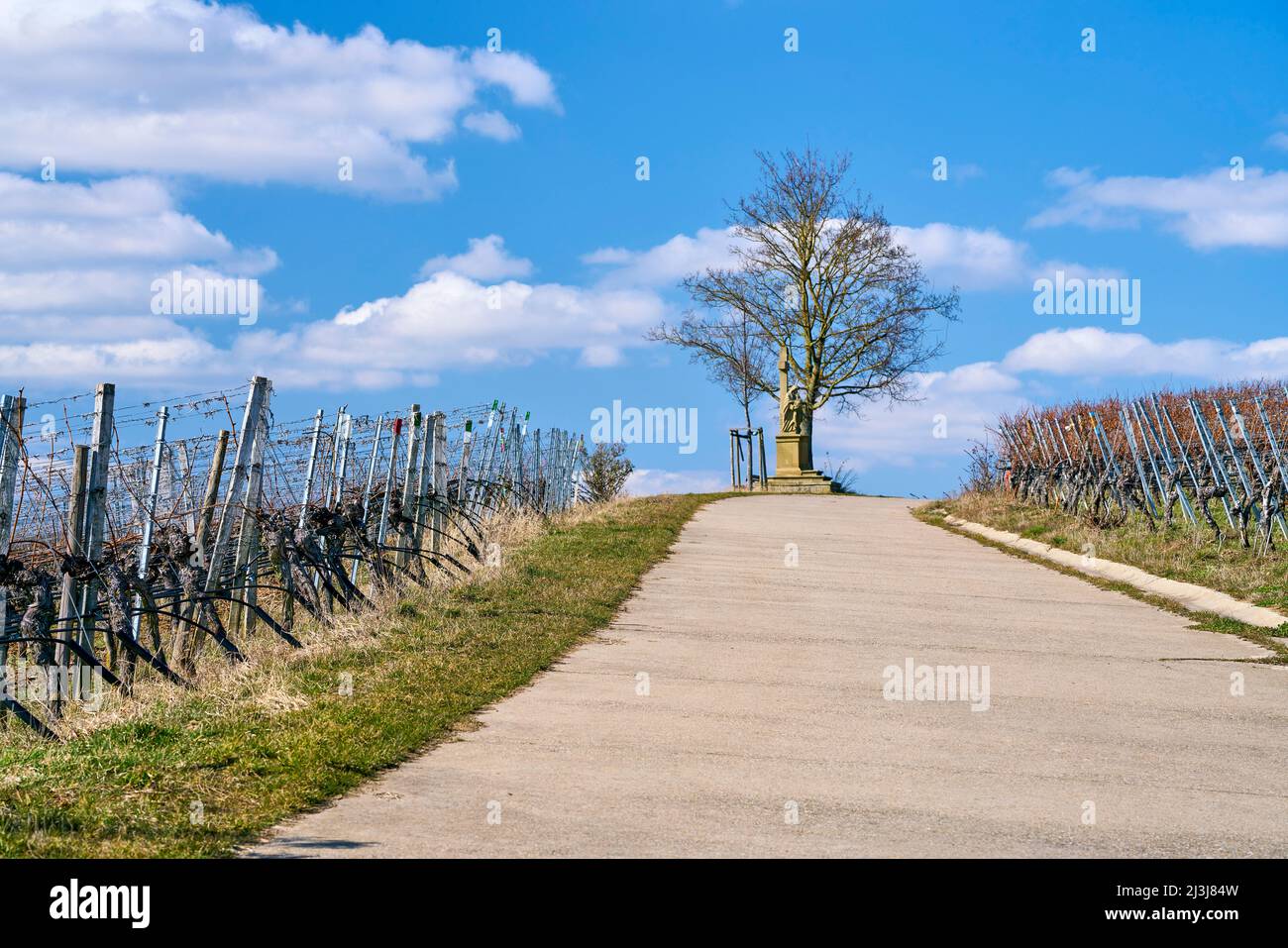Santuario de Calvario en los viñedos de la isla del vino cerca de Sommerach en la circunvalación principal de Vokach, condado de Kitzingen, Baja Franconia, Franconia, Baviera, Alemania Foto de stock